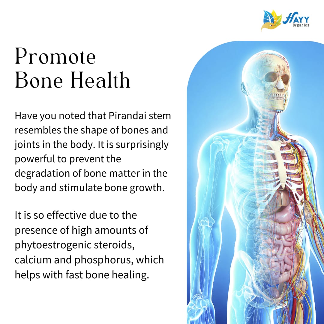 Pirandai Idli Dosa Podi 250g
