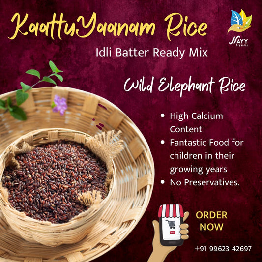 Kaatuyaanam Idli Mix 500g