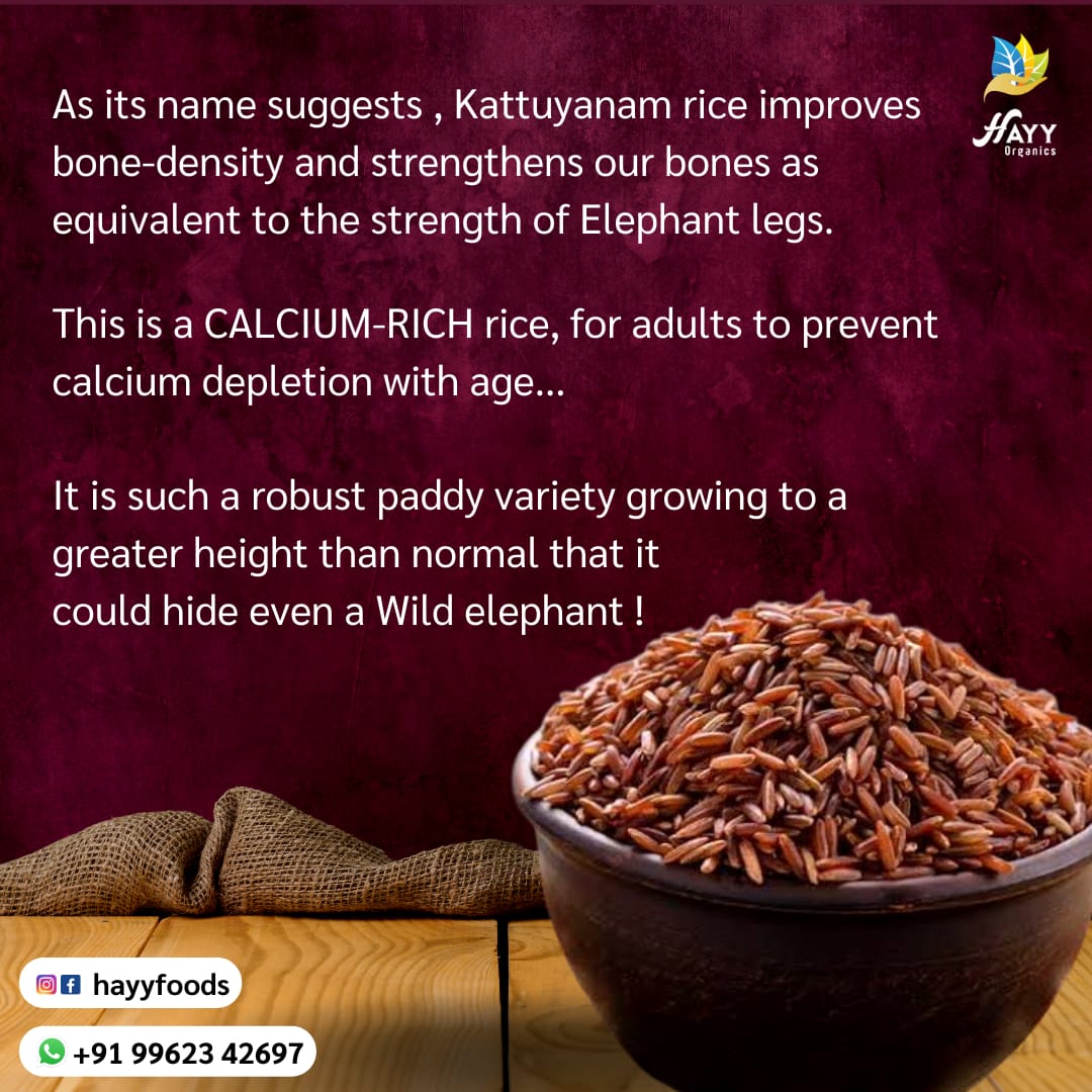 Kaatuyaanam Idli Mix 500g