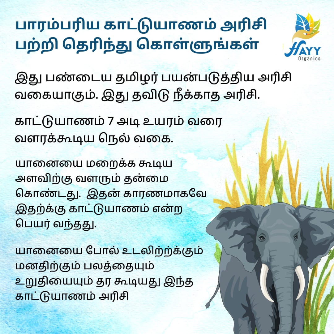 Kaatuyaanam Idli Mix 500g