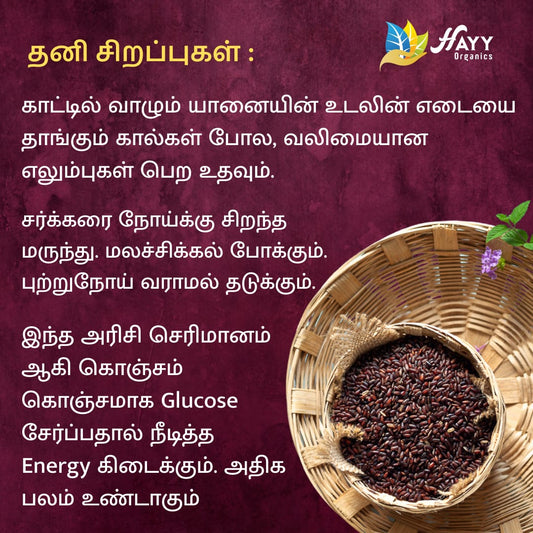 Kaatuyaanam Idli Mix 500g