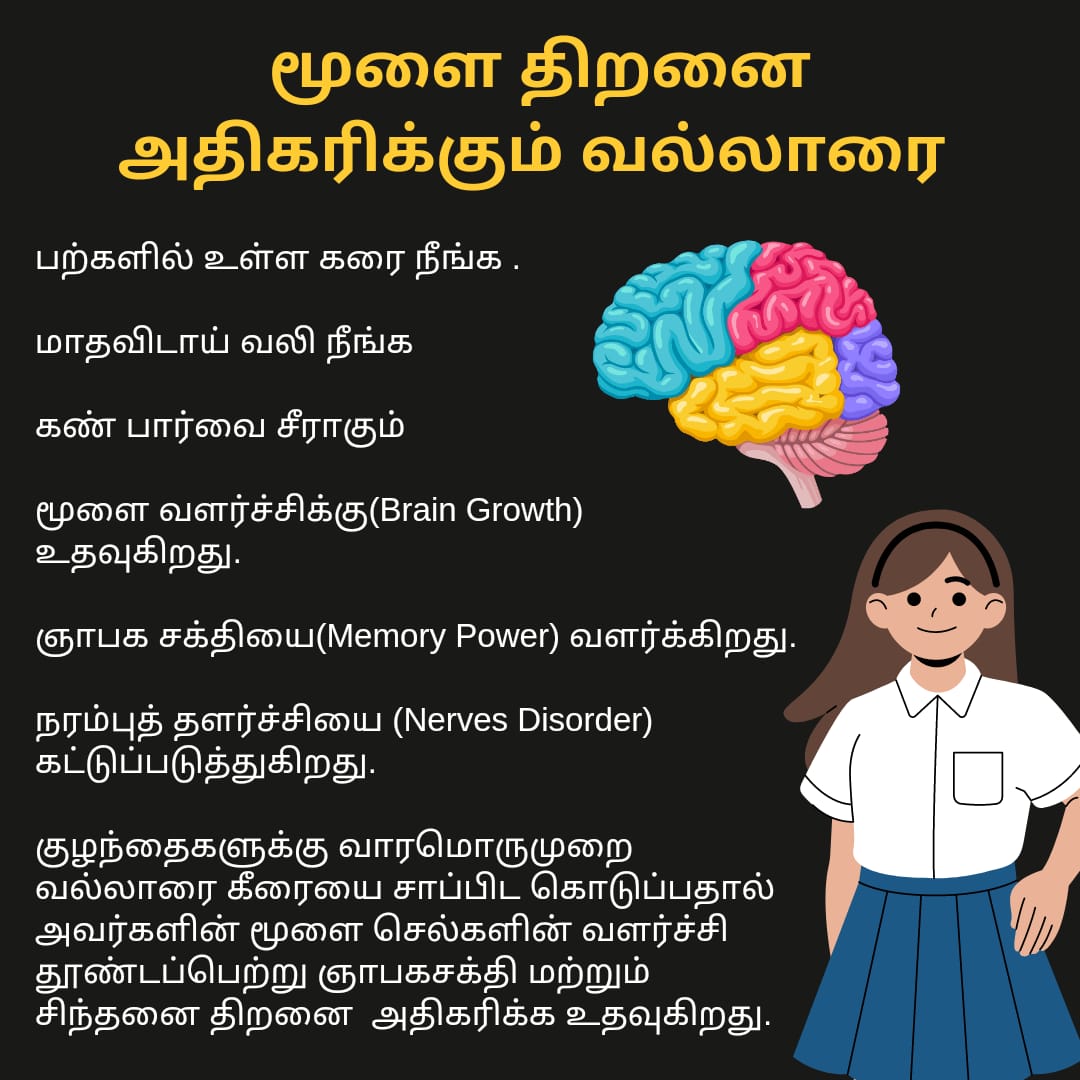 Vallarai Keerai Idli Podi 250g