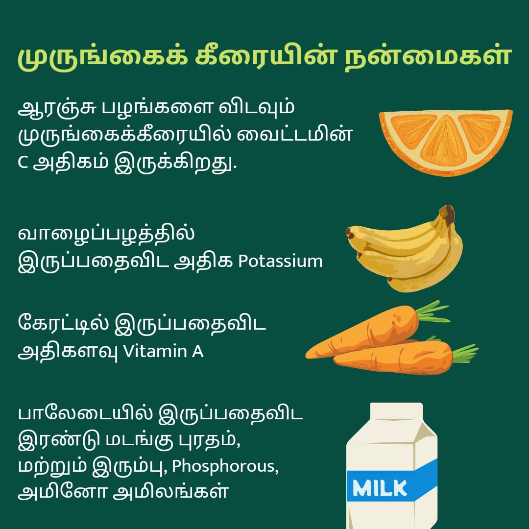 Murungai Keerai Idli Podi 250g