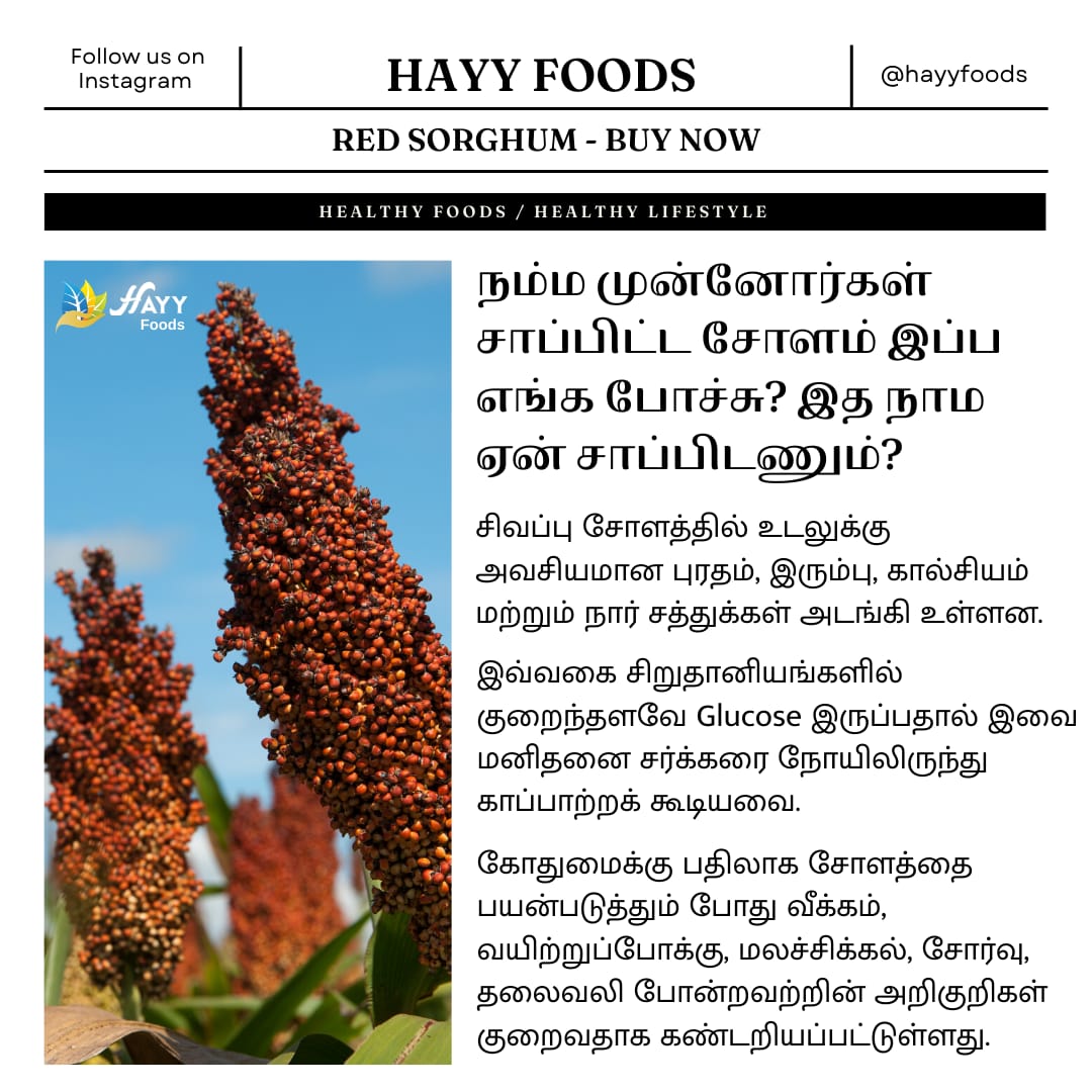 Red Jowar Dosa Mix 500g