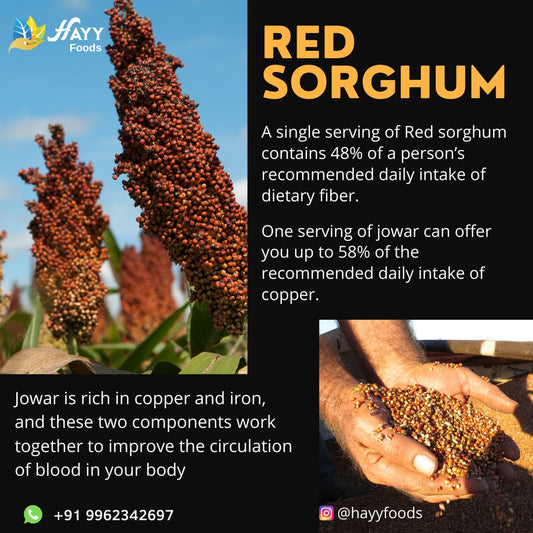 Red Jowar Dosa Mix 500g