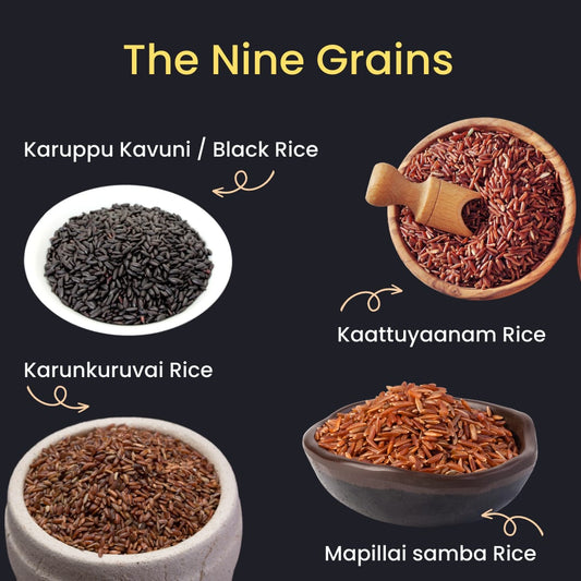 Nava Rice Porridge Mix 500g