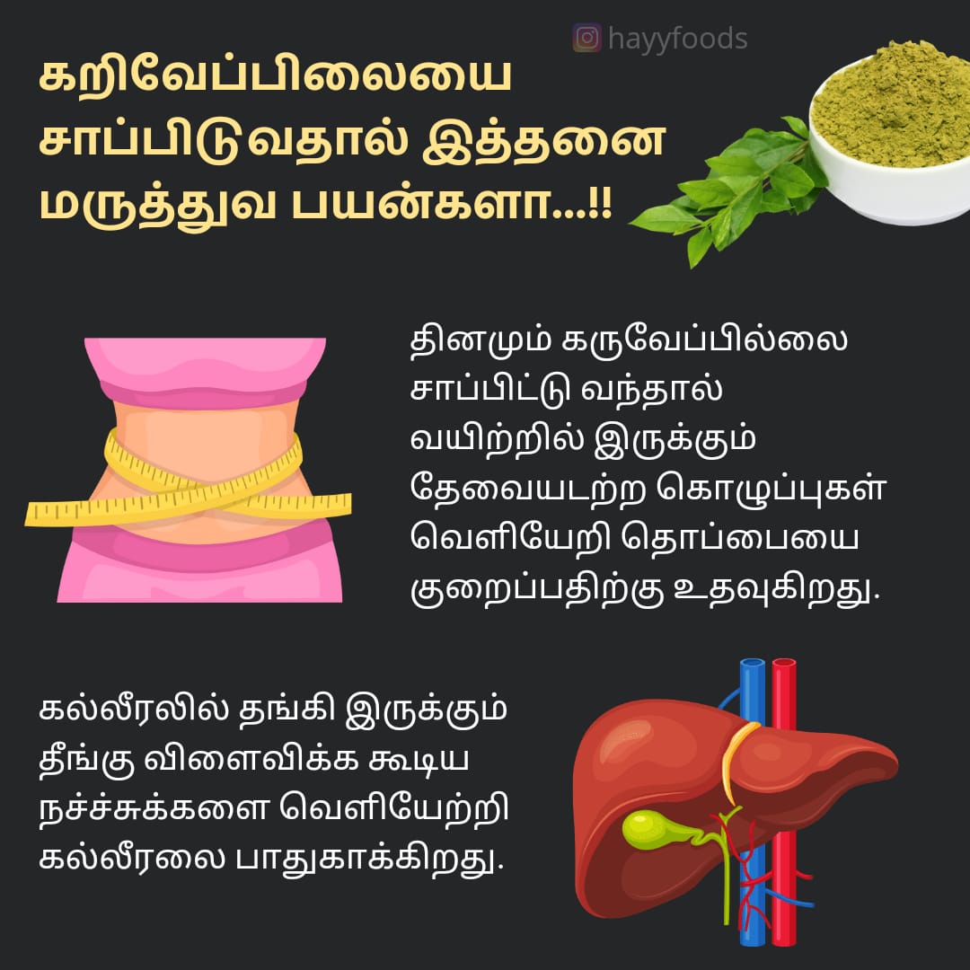 Curry Leaves Idli Podi 250g