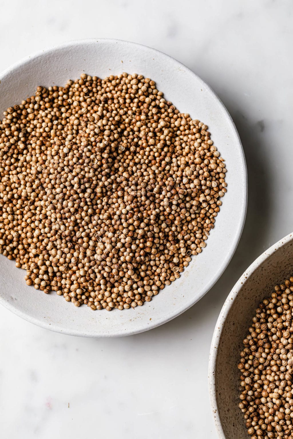 Coriander Powder 250g