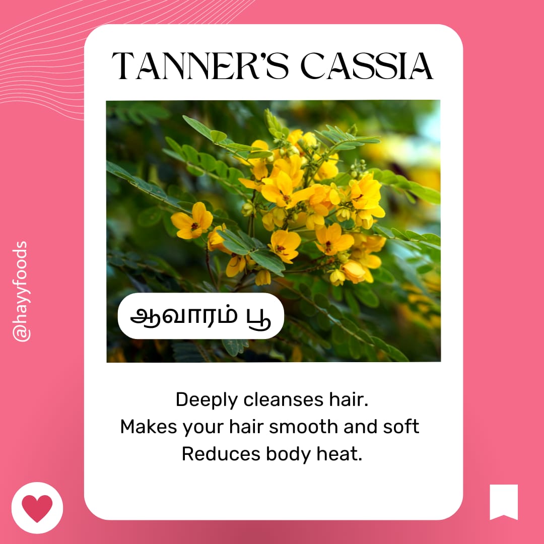 Shikakkai Powder 400g