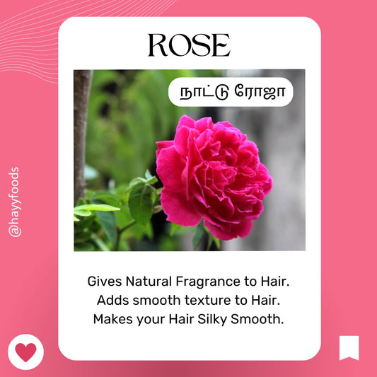 Shikakkai Powder 400g