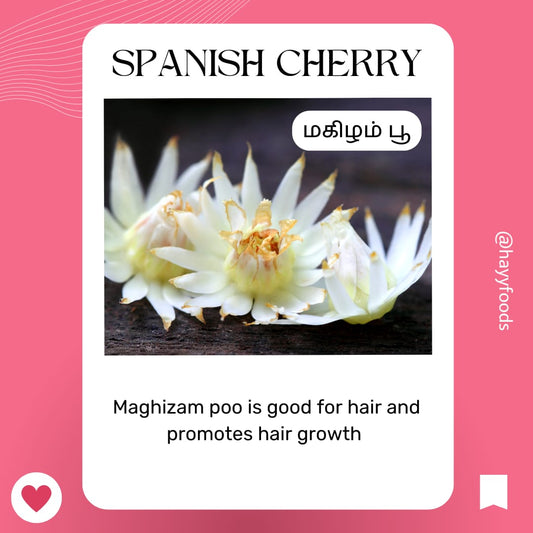 Shikakkai Powder 400g