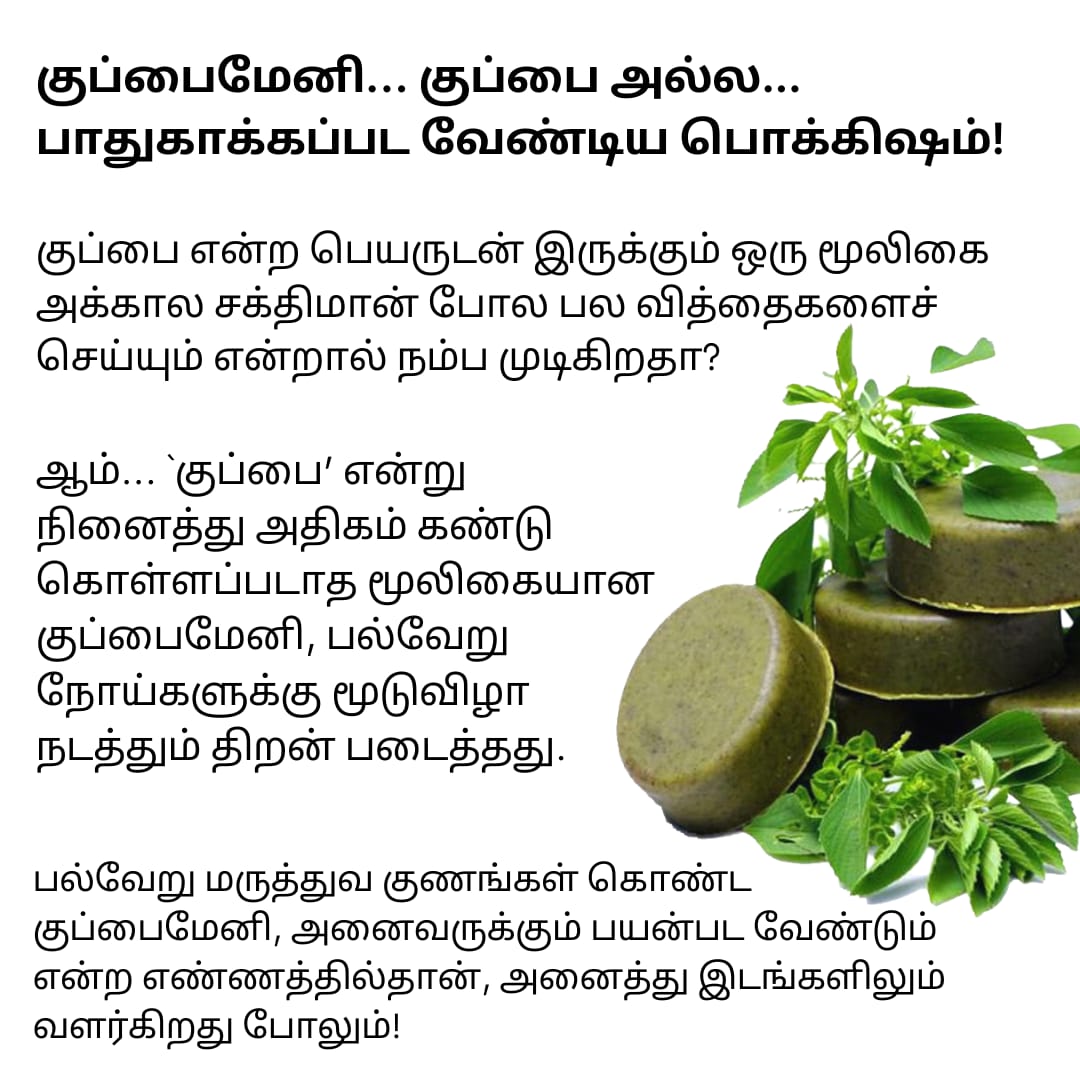 Kuppaimeni Soap Pack of 3