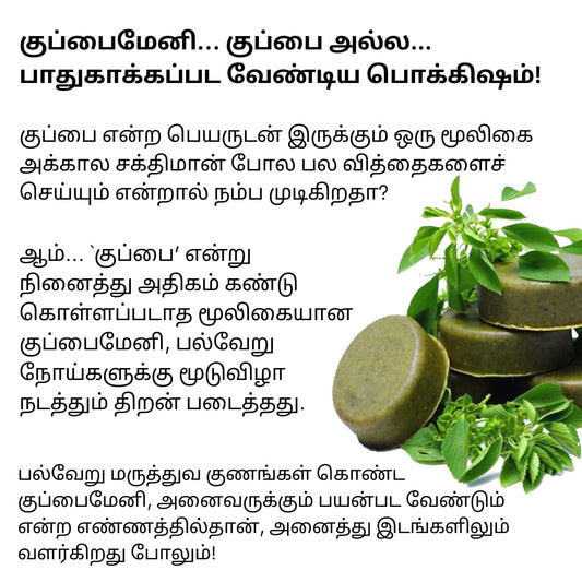 Kuppaimeni Soap Pack of 3