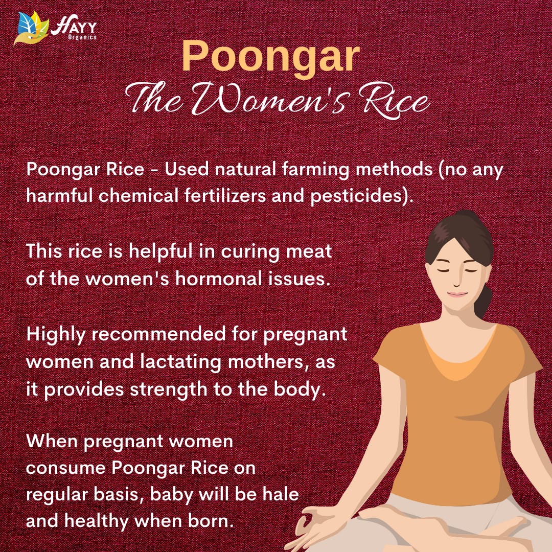 Poongar Rice Health Mix 250g