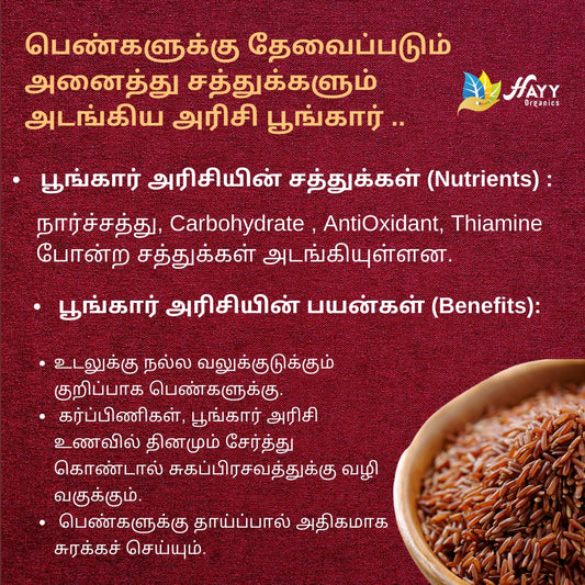 Poongar Rice Health Mix 250g