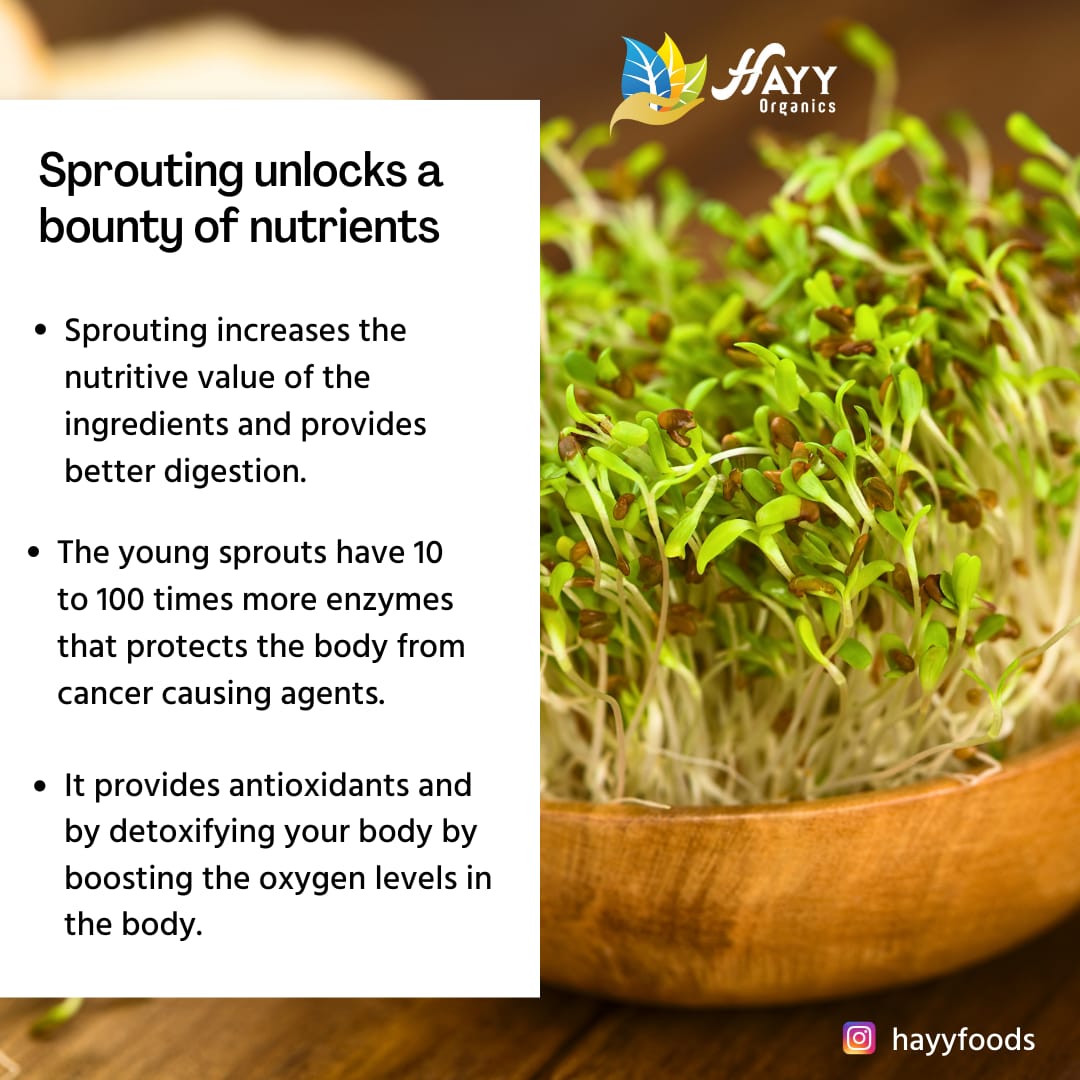 Instant Protein Health Mix 250g