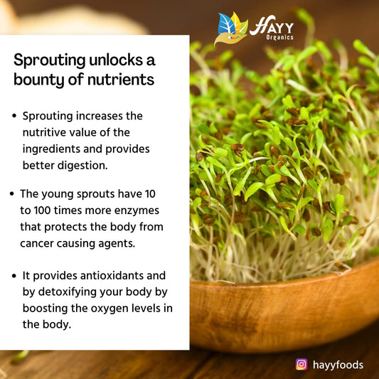 Instant Protein Health Mix 250g