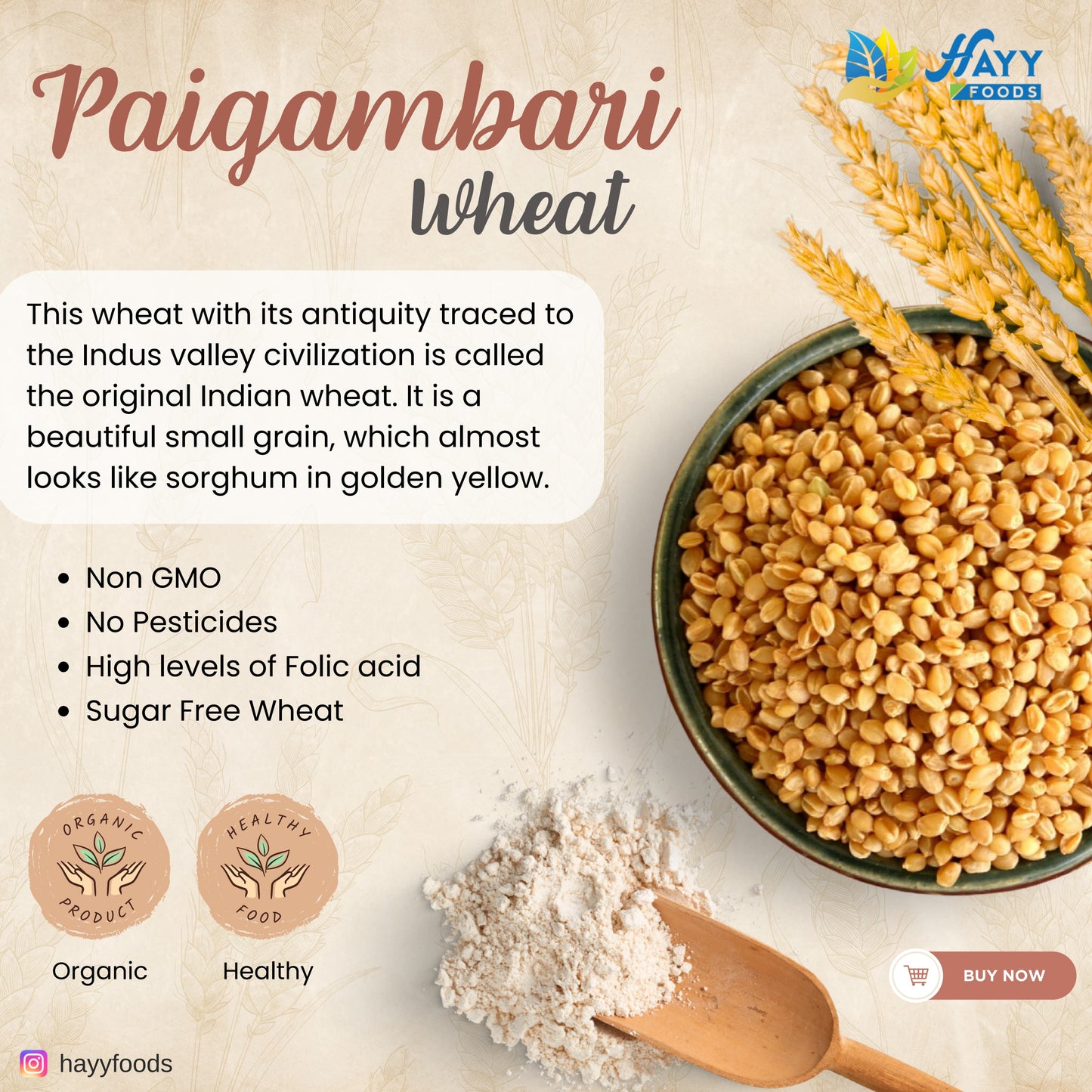 Paigambari Wheat Flour 1kg