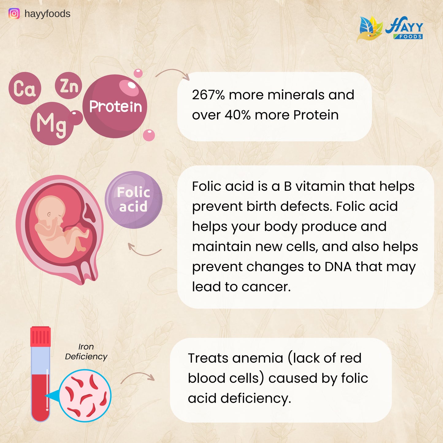 Paigambari Wheat Flour 1kg