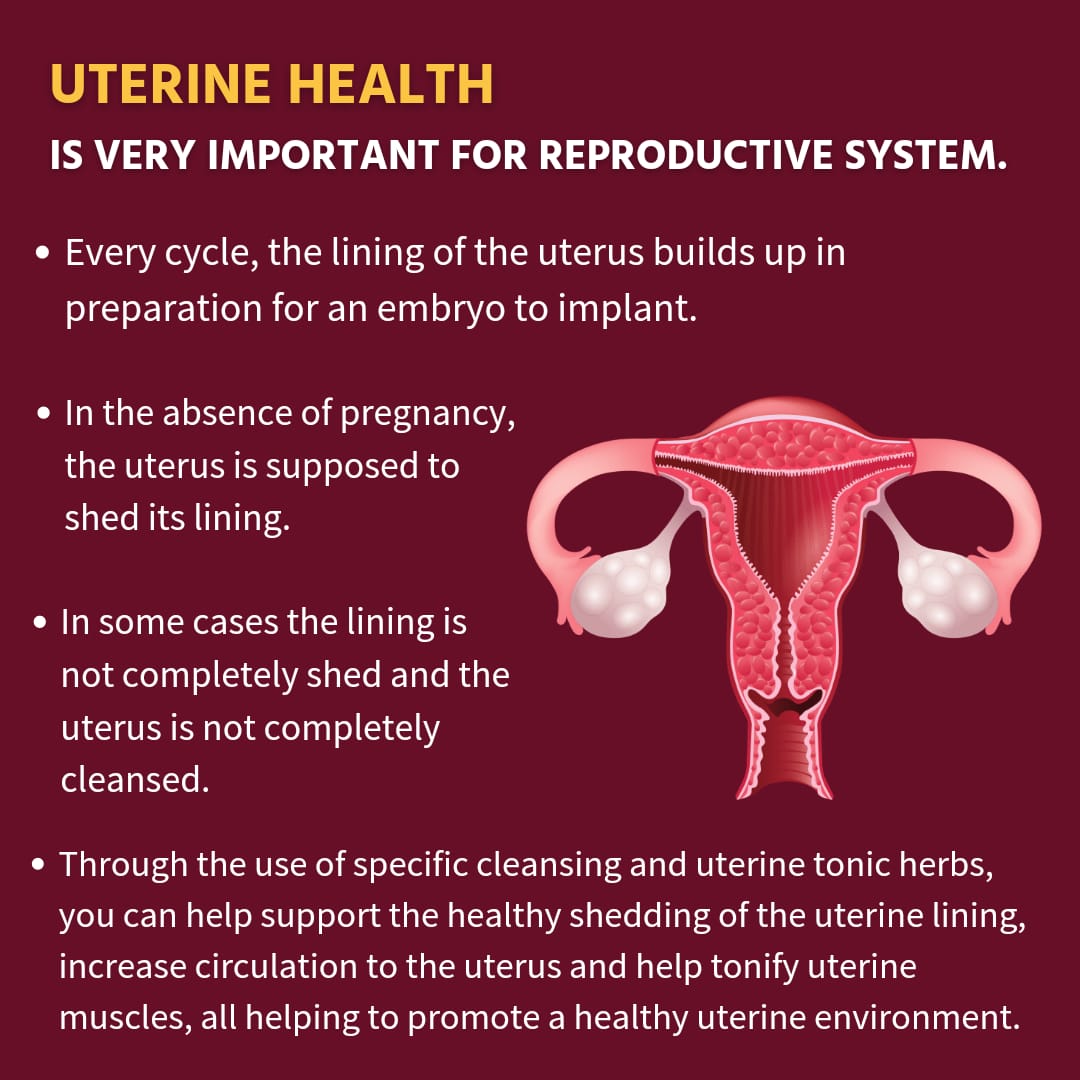 Marundhu Soru Podi - Herbs Rice Powder 250g