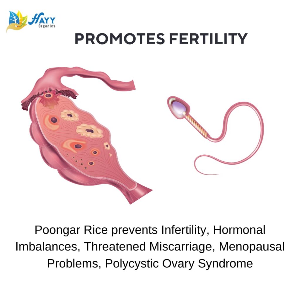 poongar-rice-health-mix